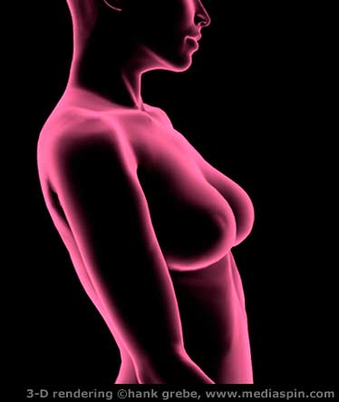 3-D Breast Exam rendering #1, pink x-ray look