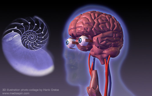 3D Brain Pondering Intelligent Design