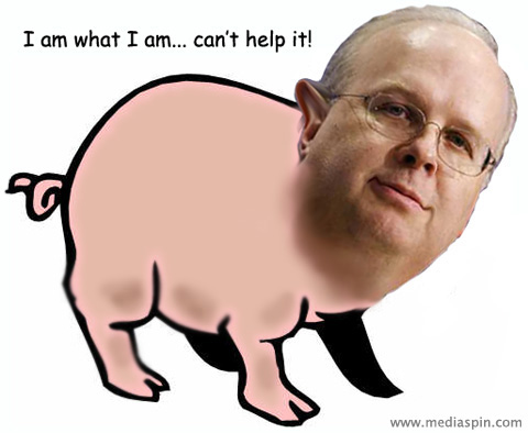 Karl Rove is a pig